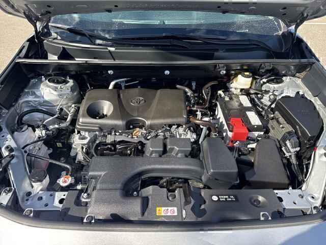 2025 Toyota RAV4 XLE - Photo 7