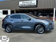 LEXUS NX 250