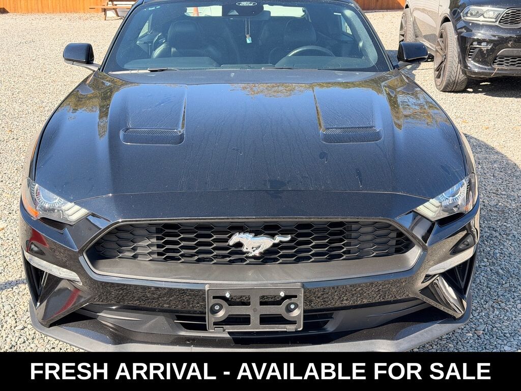 Used 2022 Ford Mustang Ecoboost Premium Convertible
