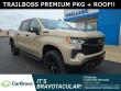 2022 Chevrolet Silverado 1500 LT Trail Boss Truck