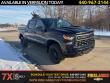 2025 Chevrolet Silverado 1500 Custom Trail Boss Truck