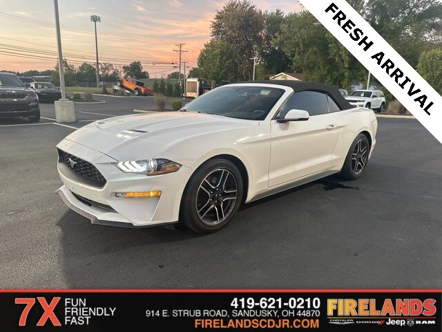 2019 Ford Mustang EcoBoost Premium photo 4