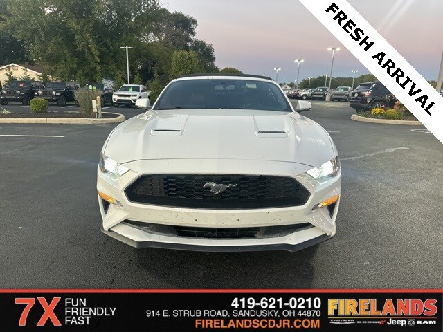 2019 Ford Mustang EcoBoost Premium photo 2