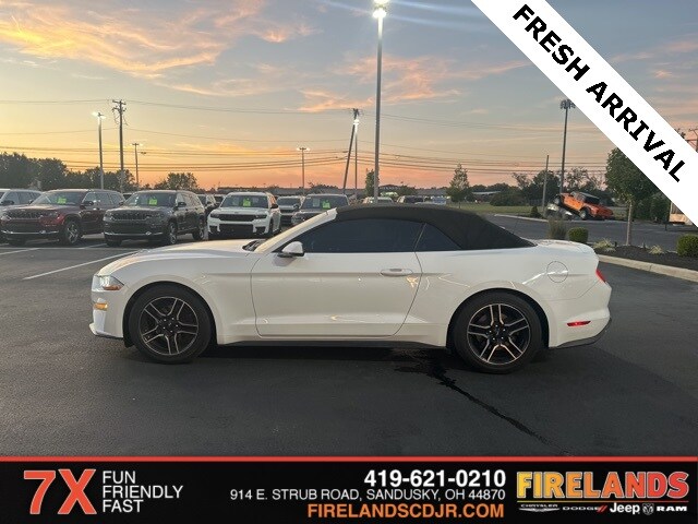 2019 Ford Mustang EcoBoost Premium photo 3