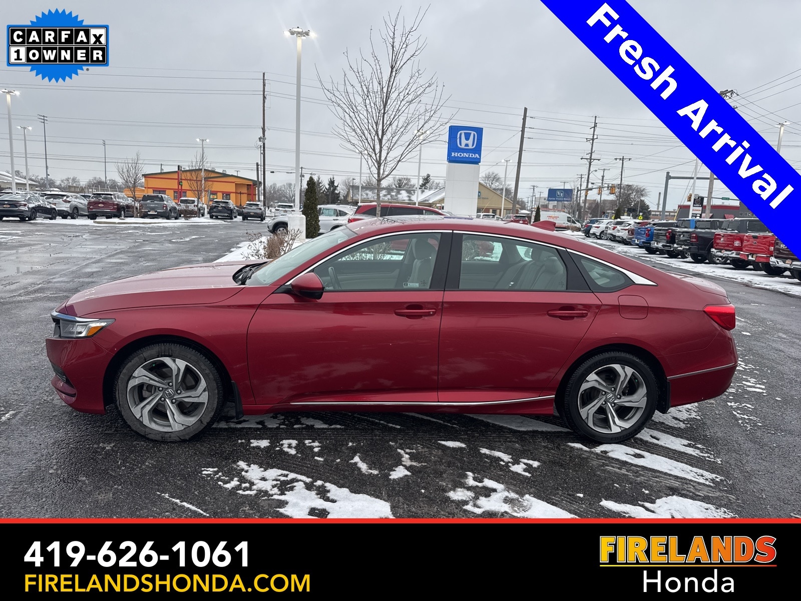 2019 Honda Accord EX-L's photo