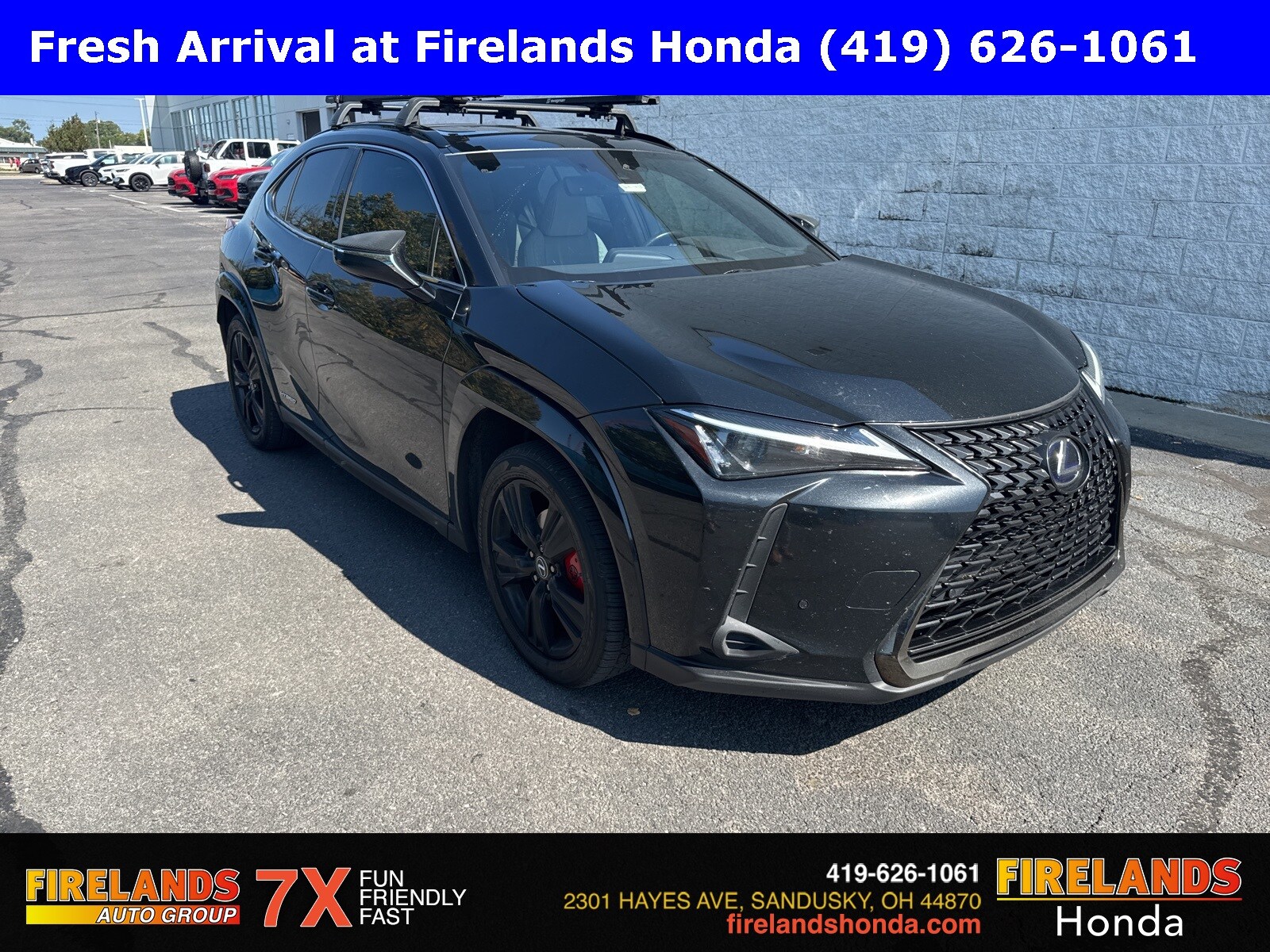 2021 Lexus UX 250h photo 4