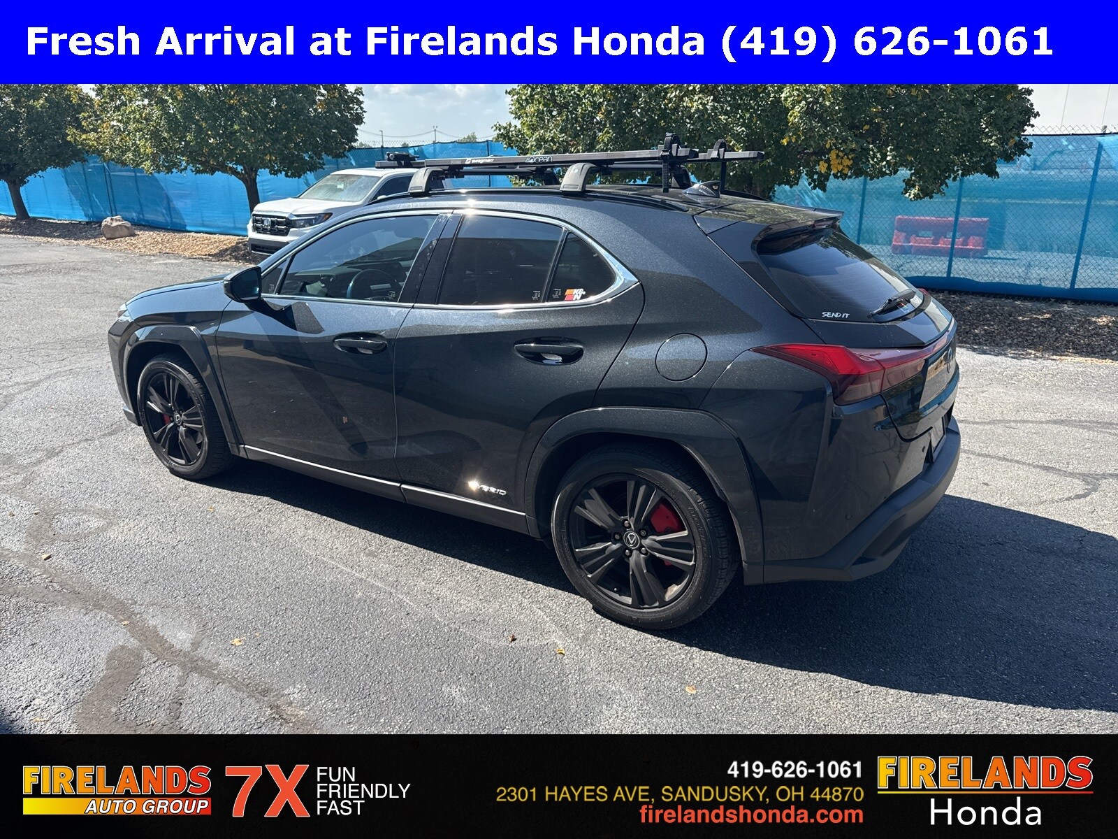 2021 Lexus UX 250h photo 2