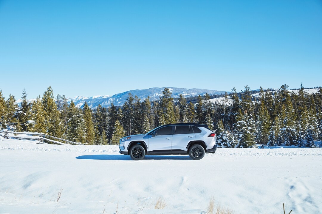 New RAV4