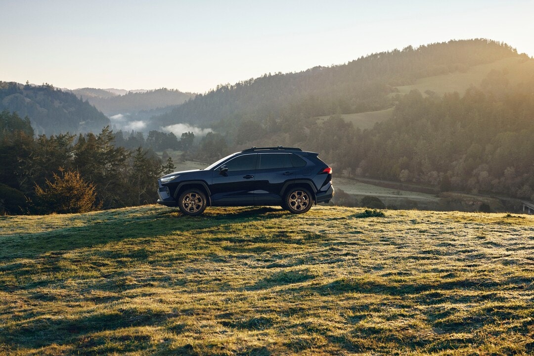 New RAV4 rear view