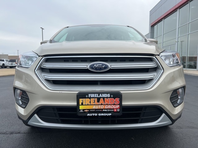 Used 2017 Ford Escape SE with VIN 1FMCU0GD9HUD07368 for sale in Sandusky, OH