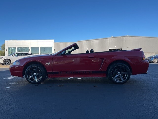 1999 Ford Mustang Cobra Convertible photo 4