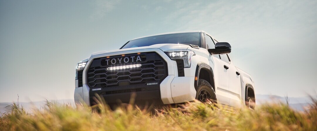 Tundra