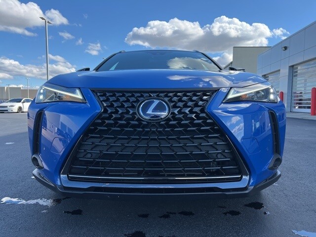 2021 Lexus UX 250h photo 2