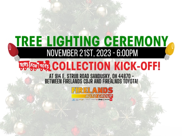 Firelands Christmas Lighting Mobile.png