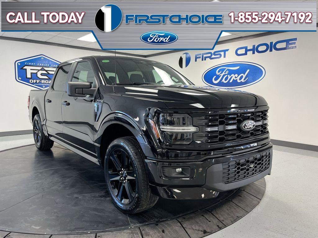 2025 Ford F-150 STX's photo