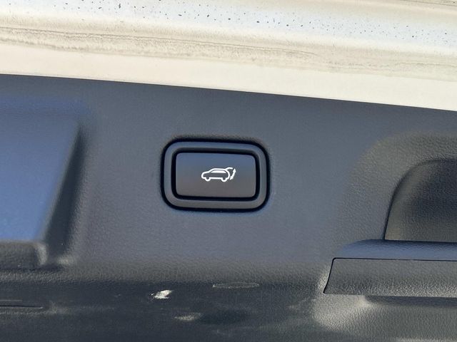 2025 Hyundai Palisade Calligraphy - Photo 12