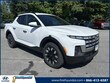  Hyundai Santa Cruz