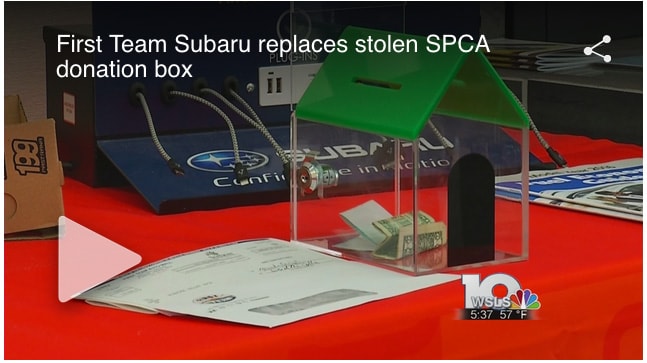 first-team-subaru-spca.jpg