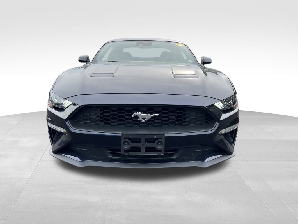 2021 Ford Mustang EcoBoost photo 2