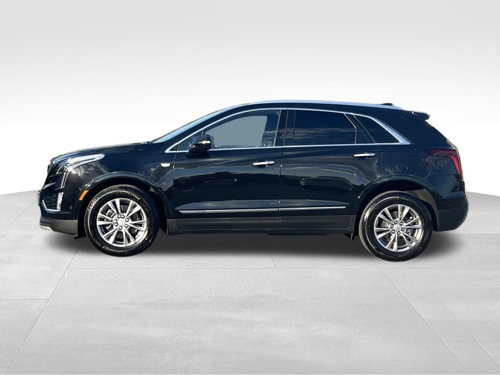 2023 Cadillac XT5 Premium Luxury photo 2
