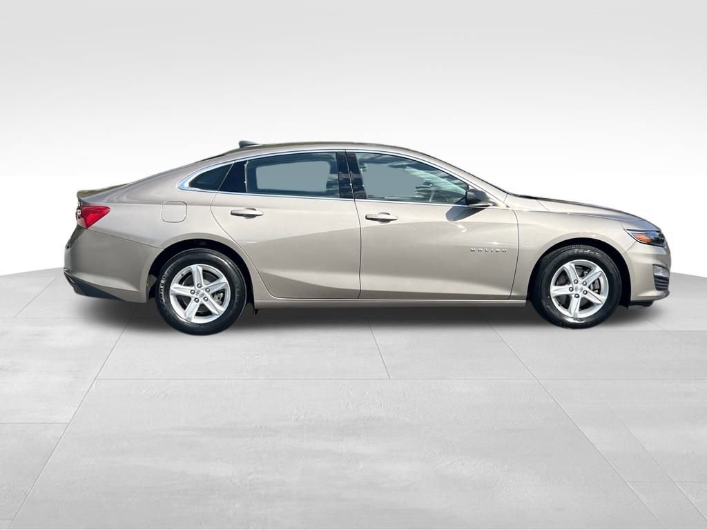 2023 Chevrolet Malibu LS photo 3