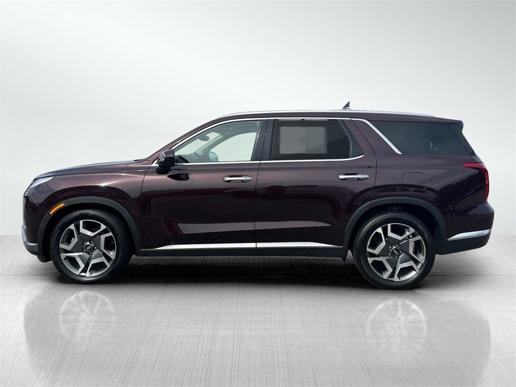 2024 Hyundai Palisade Limited photo 4