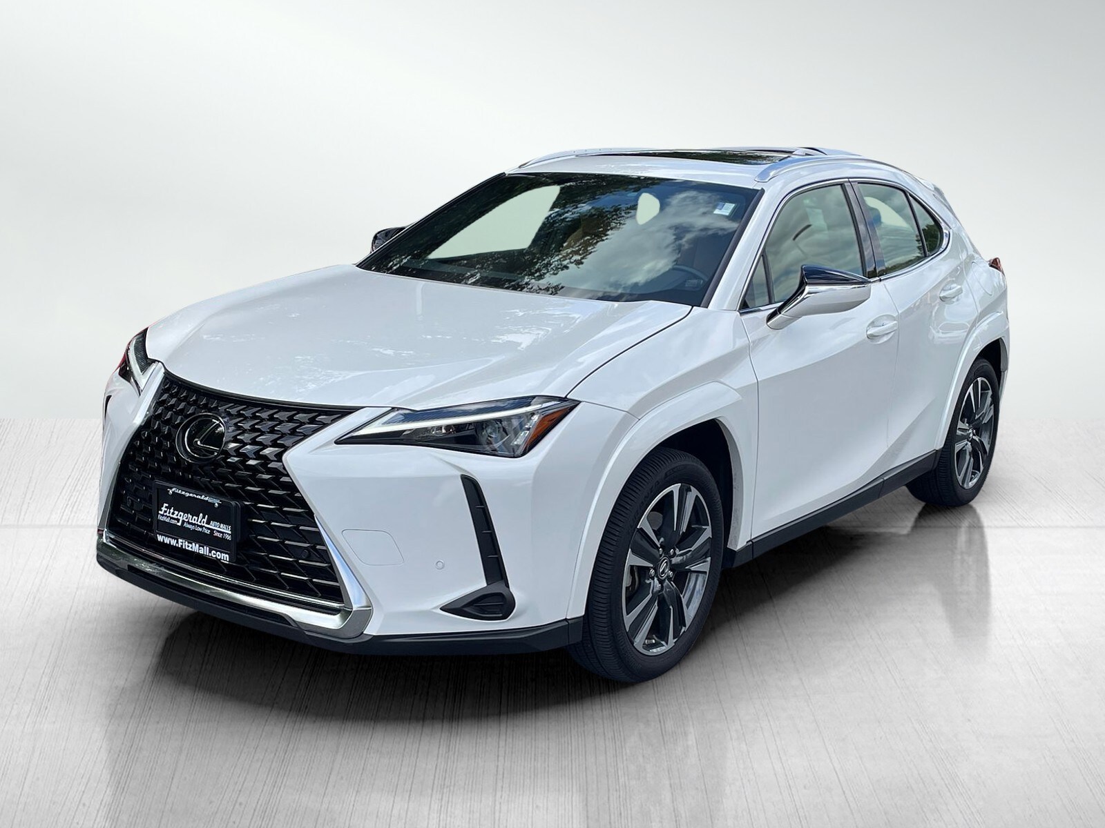 2024 Lexus UX 250h Premium photo 2