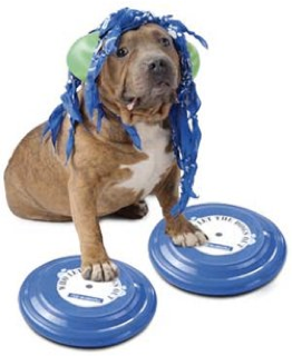 dog pic 2.png