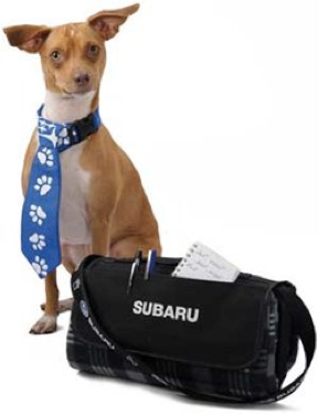 dog pic 1.png