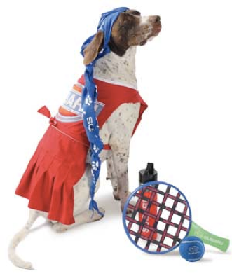 dog pic 5.png