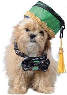 dog pic 6.png