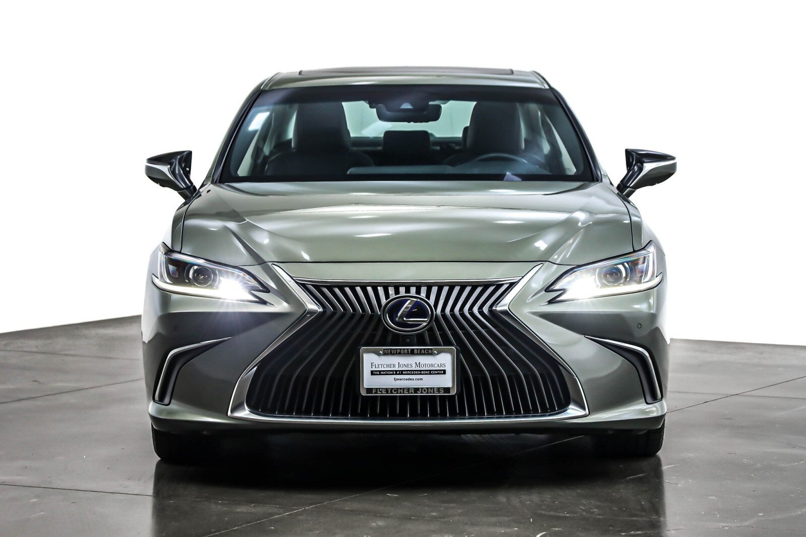 2019 Lexus ES 300h photo 2