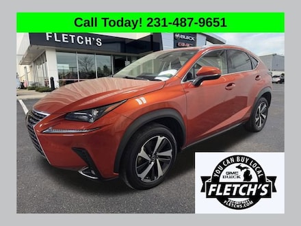 2021 LEXUS NX NX 300