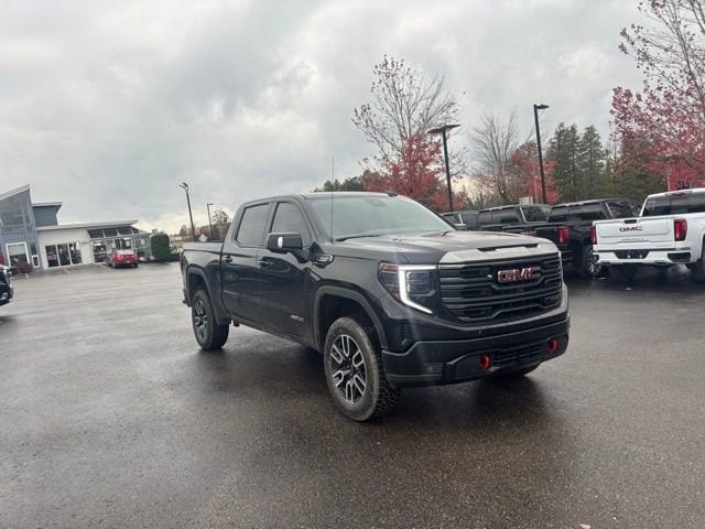 2023 Gmc Sierra 1500 AT4 photo 3