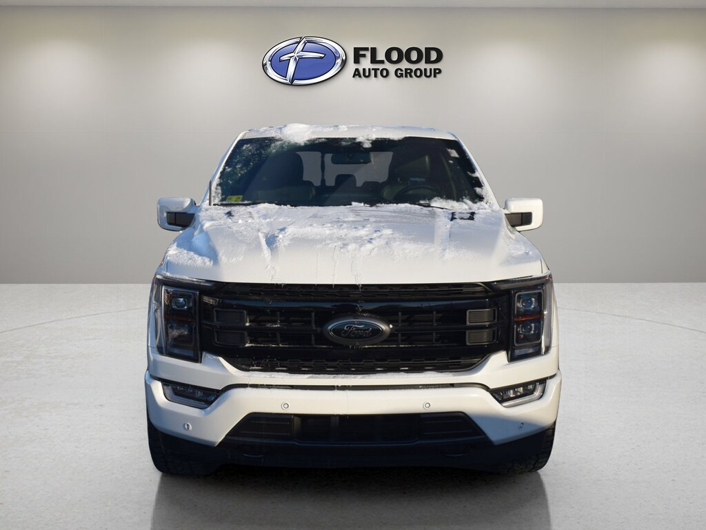 Used 2022 Ford F-150 Platinum Crew Cab Pickup