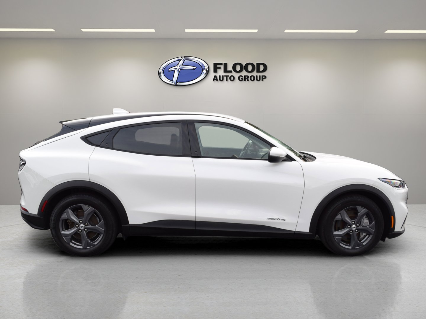 2022 Ford Mustang Mach-E Select photo 3