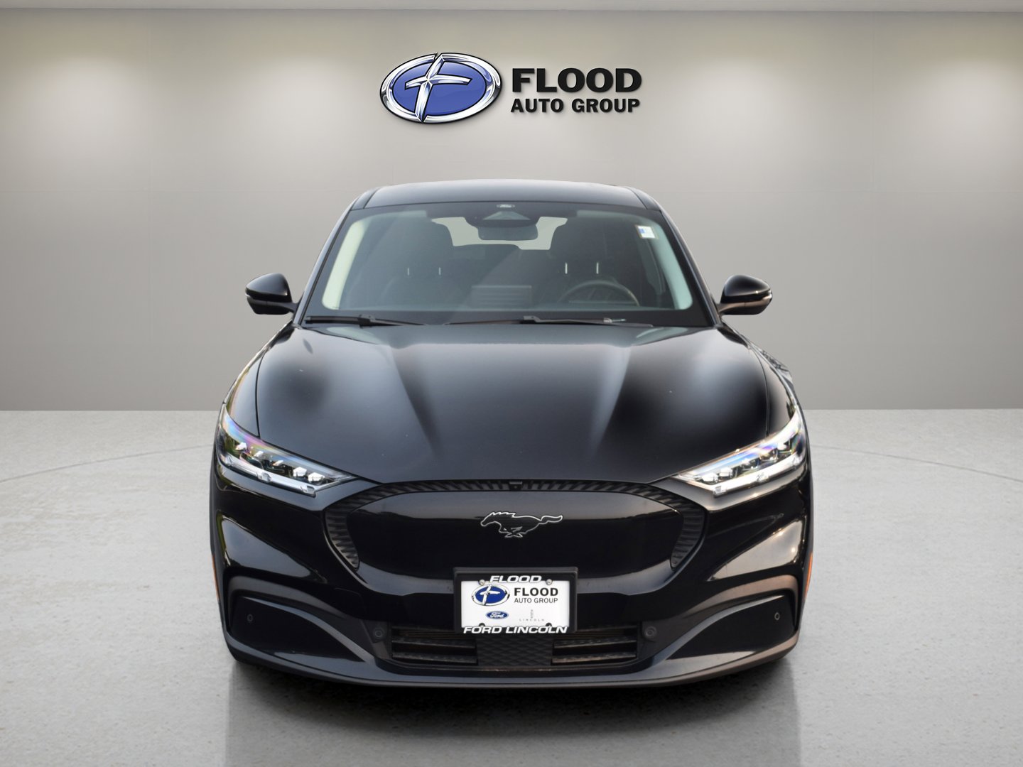 2021 Ford Mustang Mach-E Select photo 2