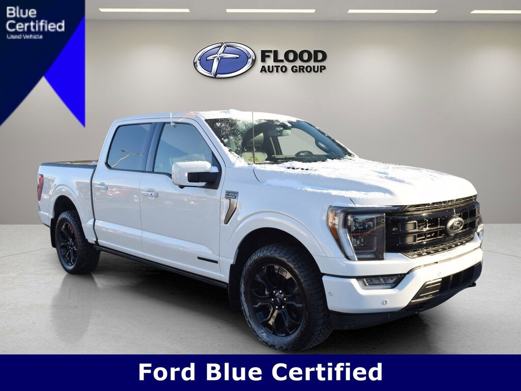 Used 2022 Ford F-150 Platinum Crew Cab Pickup