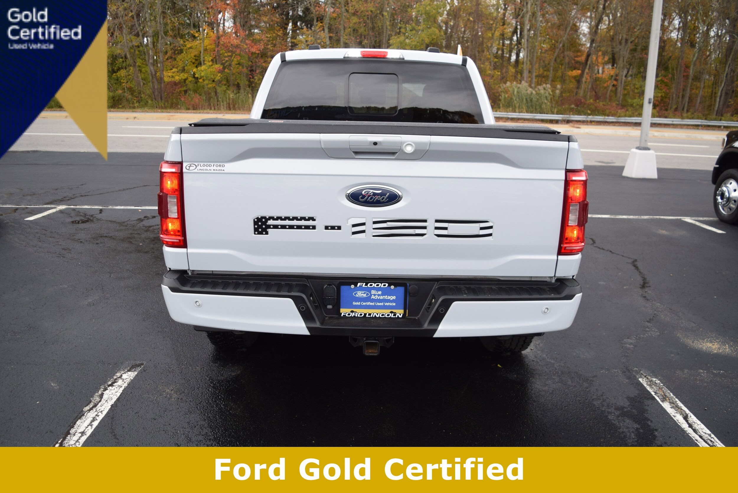 2021 Ford F-150 Base photo 2