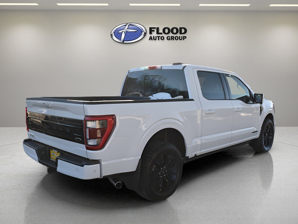 Used 2022 Ford F-150 Platinum Crew Cab Pickup