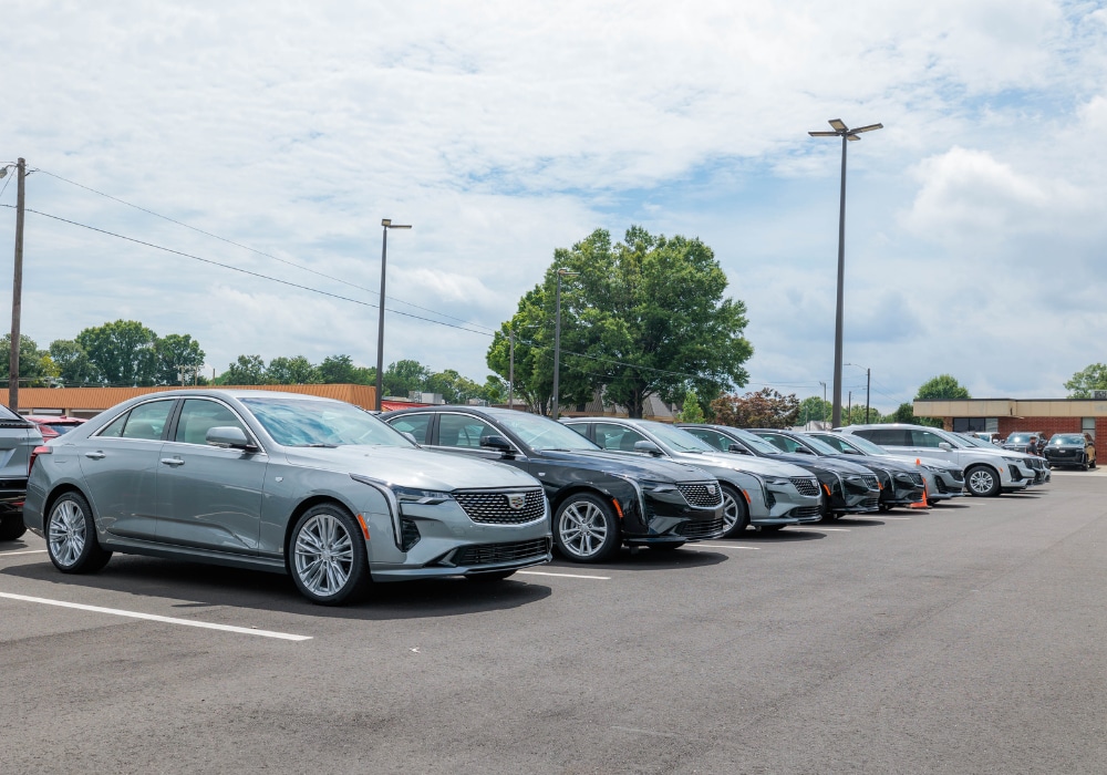 Lineup of Cadillac sedans in the parking lot of Flow Cadillac in Winston-Salem, NC