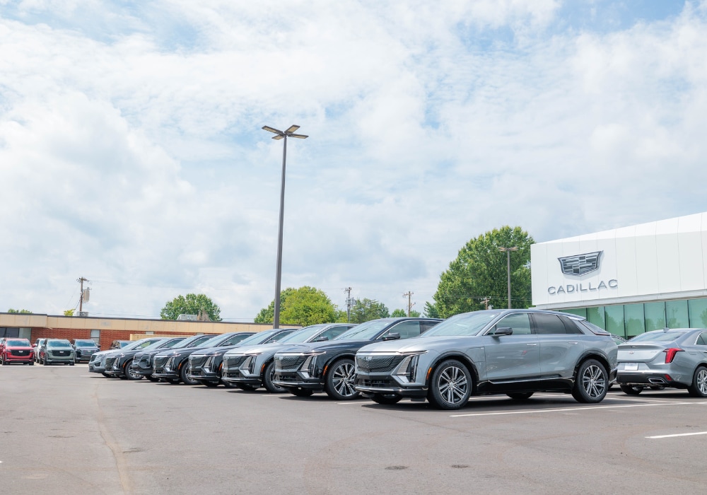 Lineup of Cadillac cars parked outside the Flow Cadillac dealership in Winston-Salem, NC