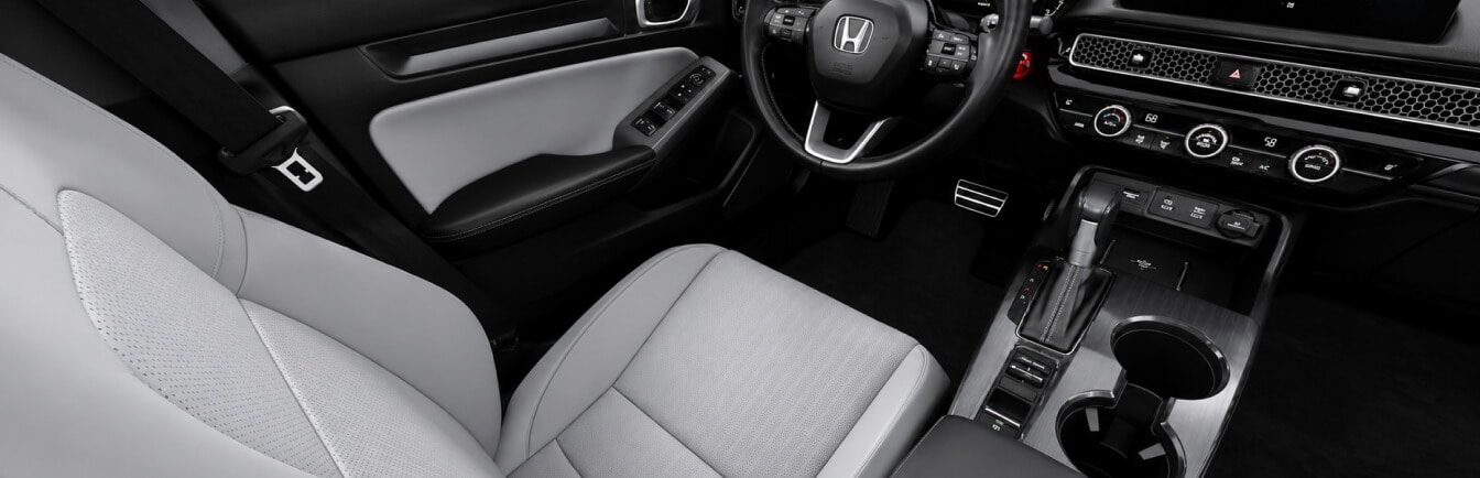 Gray Leather