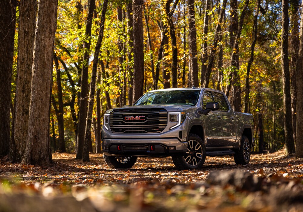2025 GMC Sierra 1500 pickup truck parked in the woods