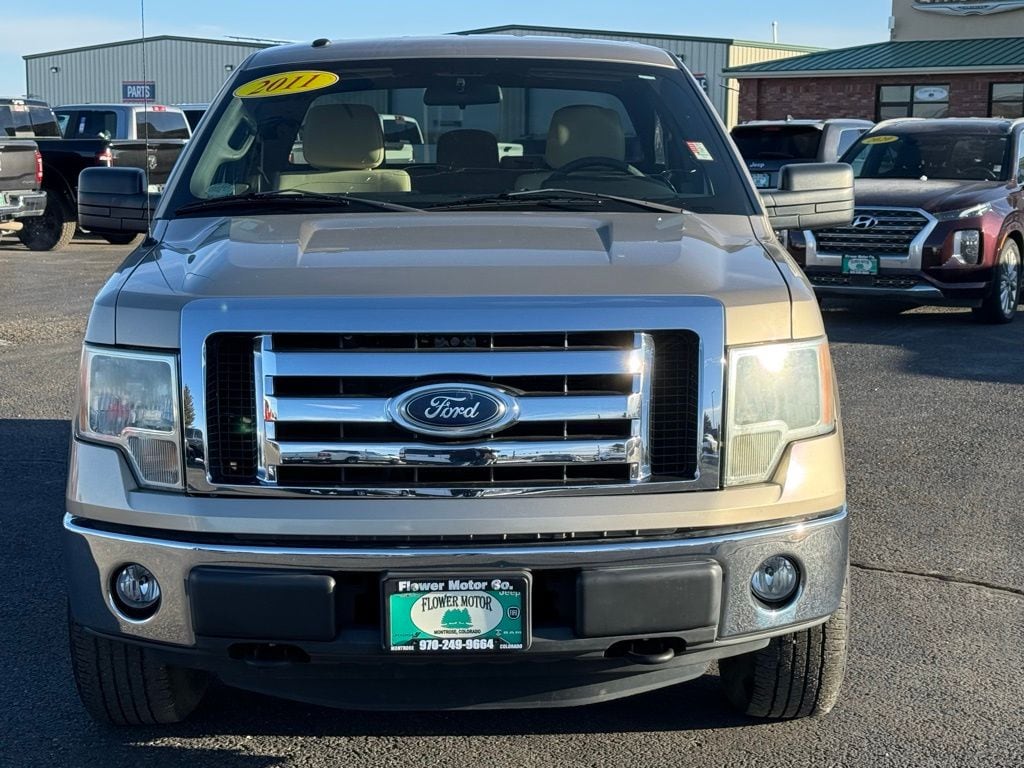Used 2011 Ford F-150 XLT with VIN 1FTFX1EF6BFB44175 for sale in Montrose, CO