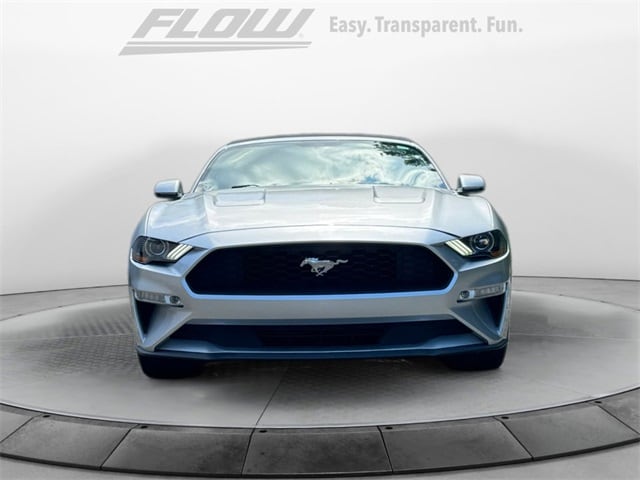 Used 2019 Ford Mustang EcoBoost Premium with VIN 1FATP8UH0K5150872 for sale in Burlington, NC