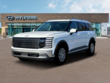  Hyundai Palisade HEV