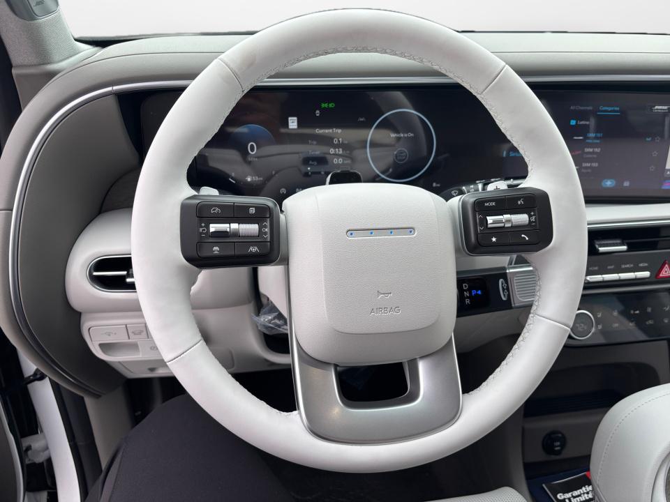 2026 Hyundai Palisade Limited - Photo 10