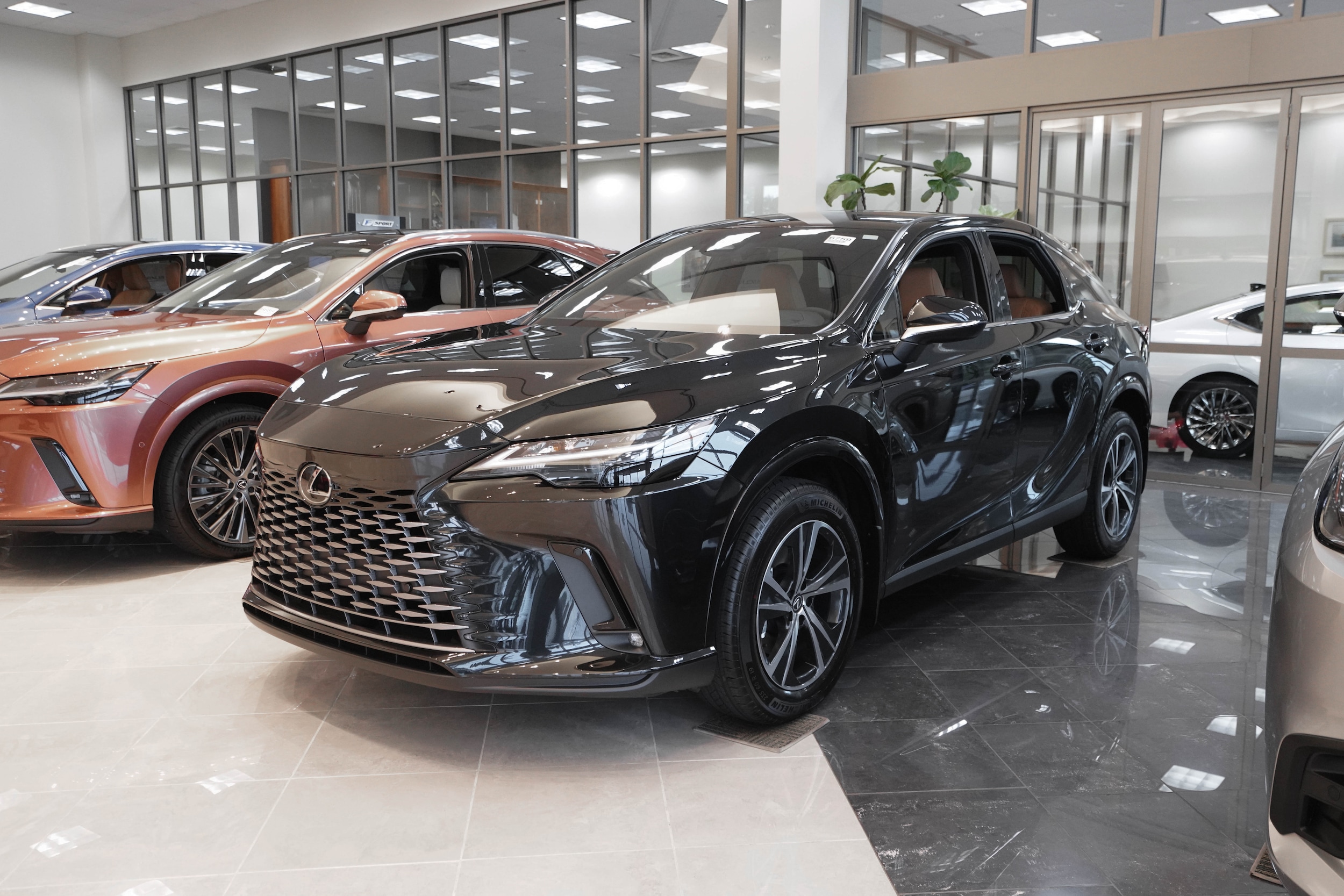 2025 Lexus RX