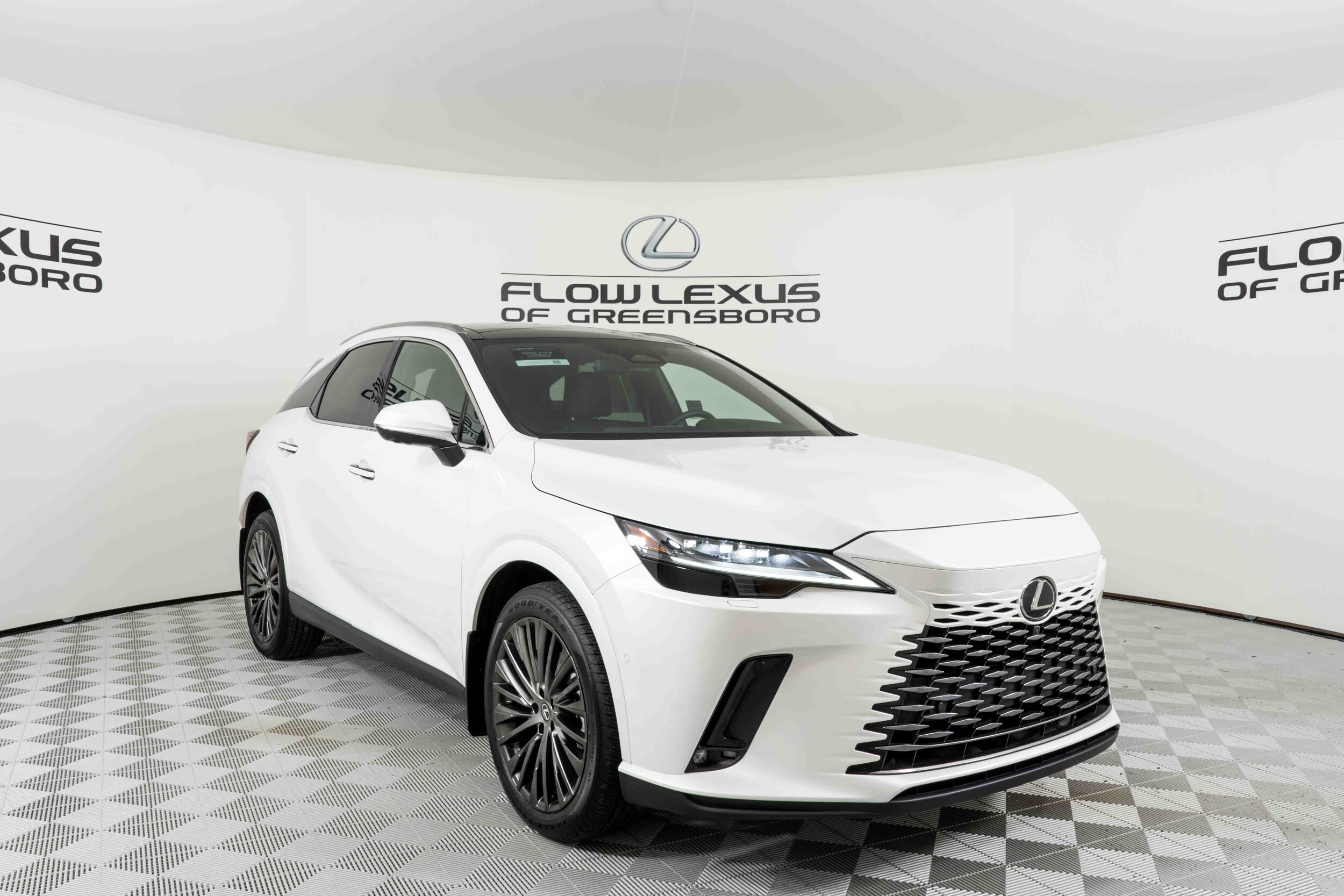 2023 Lexus RX 350 Luxury photo 3